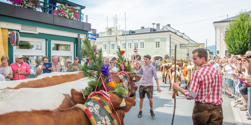 Almabtrieb in Radstadt - Foto: Lorenz Masser über pressetext.de
