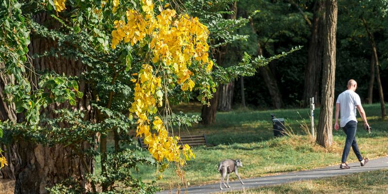Zur Wochenmitte kühlt es im Westen ab, es bleibt aber oft spätsommerlich warm im Land.  - Foto: Daniel Vogl/dpa