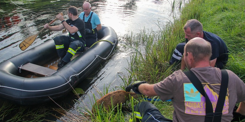 FW Dinslaken: Elektroanlagenbrand auf der Bergerstraße - Foto: presseportal.de