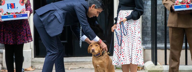 Rishi Sunaks Hund heißt Nova. (Archivbild) - Foto: Tayfun Salci/ZUMA Press Wire/dpa