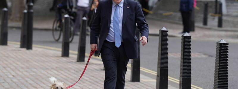 Boris Johnson zeigte sich häufig mit Hund Dilyn. (Archivbild) - Foto: Stefan Rousseau/PA Wire/dpa