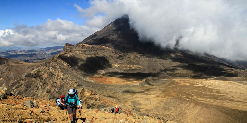 Neuseeland ist für viele eines der Traumländer schlechthin - jetzt können sie dort auch als Urlauber arbeiten. (Archivbild) - Foto: Michael Juhran/dpa-tmn