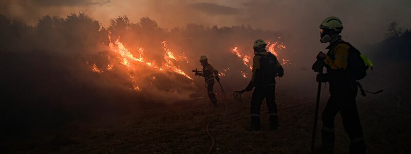 Trotz der Hitze ging die durch Waldbrände zerstörte Fläche in diesem Jahr um 46 Prozent im Vergleich zum Vorjahreszeitraum zurück.  - Foto: Alvaro Barrientos/AP