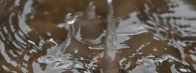 Der Geruch von Sommerregen heißt Petrichor. (Archivbild) - Foto: Patrick Seeger/dpa