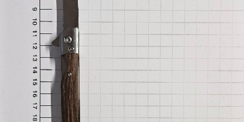 BPOL NRW: Bundespolizei stellt Messer im Hauptbahnhof Gelsenkirchen sicher - Foto: presseportal.de