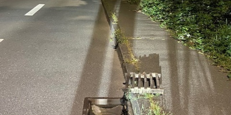 POL-PDTR: Gefährlicher Eingriff in den Straßenverkehr - Foto: presseportal.de