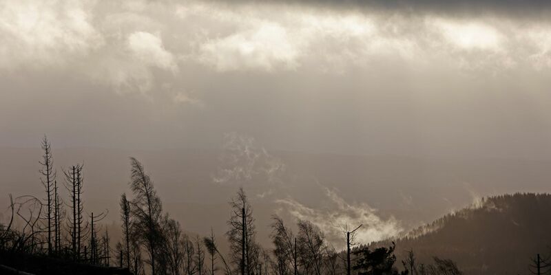 Waldbrand: Regen rund um den Brocken laut DWD ab Sonntagabend erwartet. (Archivbild) - Foto: Matthias Bein/dpa