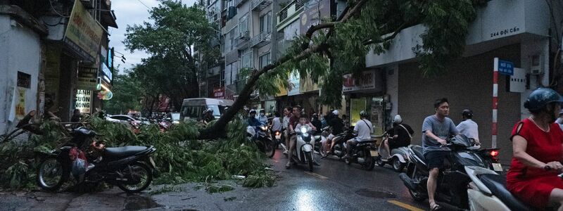 Durch den Taifun sind etliche Bäume umgestürzt. - Foto: Aniruddha Ghosal/AP/dpa