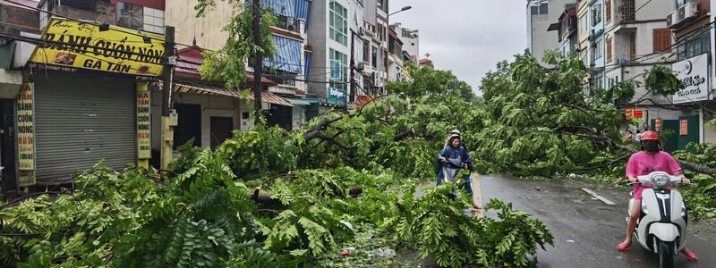 Mehr als 100.000 Bäume wurden entwurzelt. - Foto: VNA/XinHua/dpa