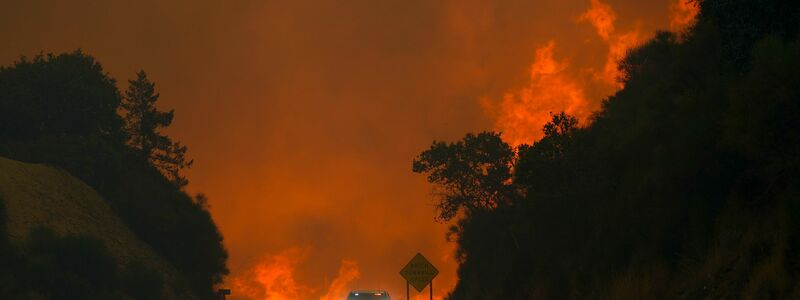 Hunderte Feuerwehrleute sind im Einsatz.  - Foto: Eric Thayer/AP/dpa