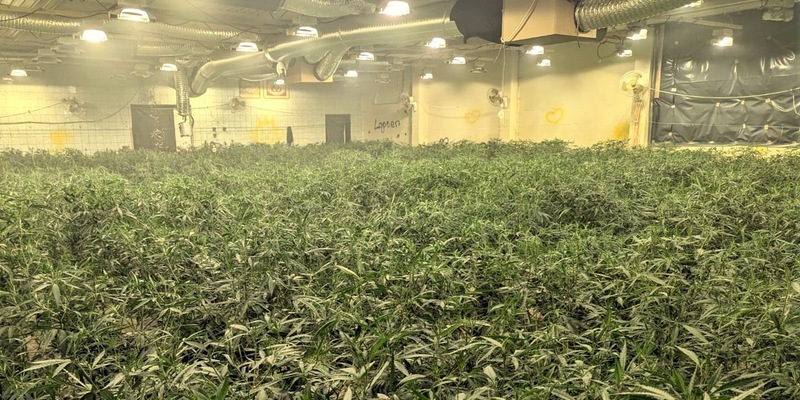 LPI-NDH: Illegale Hanfplantage nach Feuerwehreinsatz entdeckt - Foto: presseportal.de
