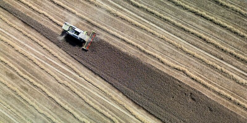 Land- und Forstwirtschaft könnten ihren Beitrag zur Klimaneutralität laut einer Studie in den nächsten Jahrzehnten deutlich steigern. (Archivbild)  - Foto: Andreas Arnold/dpa