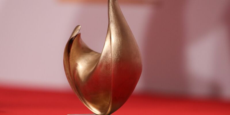 Die Publikums-Abstimmung zur Goldenen Henne beginnt. (Archivfoto) - Foto: Jan Woitas/dpa-Zentralbild/dpa