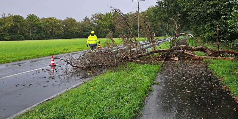 FW Hünxe: Baum blockiert Straße und Radweg - Foto: presseportal.de