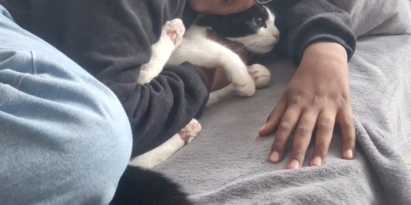 POL-H: 14-jähriger Ibrahim M. aus Hannover-Vahrenwald/List vermisst - Polizei bittet um Mithilfe und veröffentlicht Fotos - Foto: presseportal.de