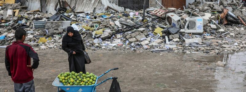 Bis zu 96 Prozent des Landwirtschaftssektors ist im Gazastreifen zerstört (Archivbild) - Foto: Mohammed Hajjar/AP/dpa