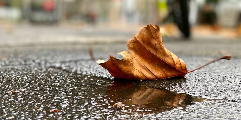 Wetterumschwung: Regen, Sturm und Schnee in Deutschland - Foto: Henrich Linda/dpa
