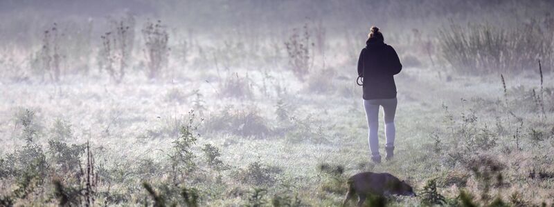 Für das Wochenende ist Dauerregen im Süden und Südosten vorhergesagt. - Foto: Federico Gambarini/dpa