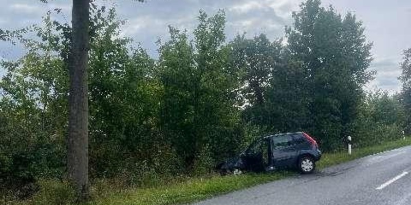 POL-HI: Schwerer Baumunfall fordert eine schwerverletzte Person - Foto: presseportal.de