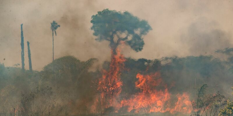 Im brasilianischen Amazonasgebiet toben die schwersten Brände seit fast 20 Jahren. - Foto: Andre Penner/AP/dpa