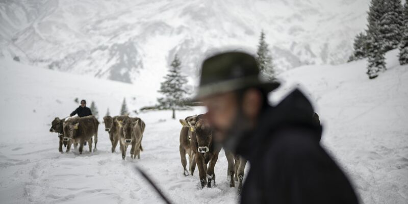 So kalt war es in der ersten Septemberhälfte mancherorts noch nie seit Messbeginn. - Foto: Gian Ehrenzeller/KEYSTONE/dpa