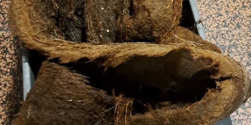 FW-M: Wurzelgeflecht verstopft Dachentwässerung (Haidhausen) - Foto: presseportal.de