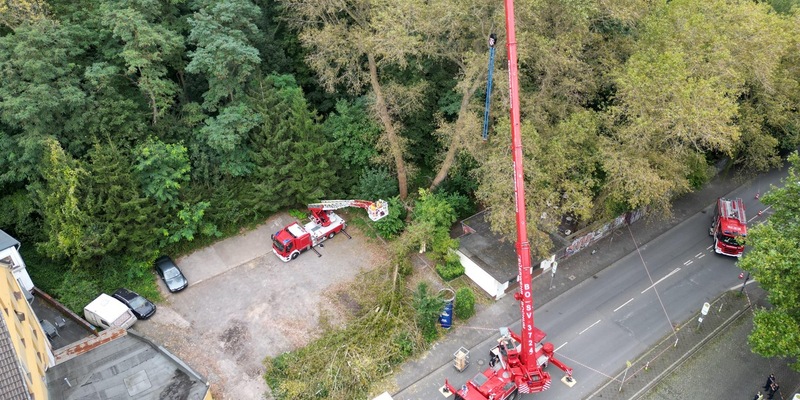 FW-BO: Abgebrochener Baum verursacht längeren Feuerwehreinsatz - Foto: presseportal.de
