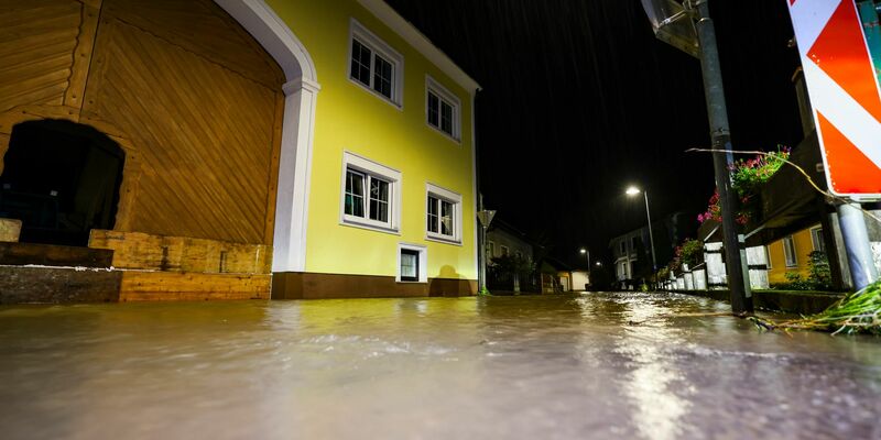 Am schlimmsten betroffen ist das Bundesland Niederösterreich. - Foto: Christoph Reichwein/dpa