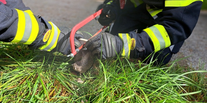 FW-M: Das dicke Ende kommt zum Schluss (Pasing) - Foto: presseportal.de