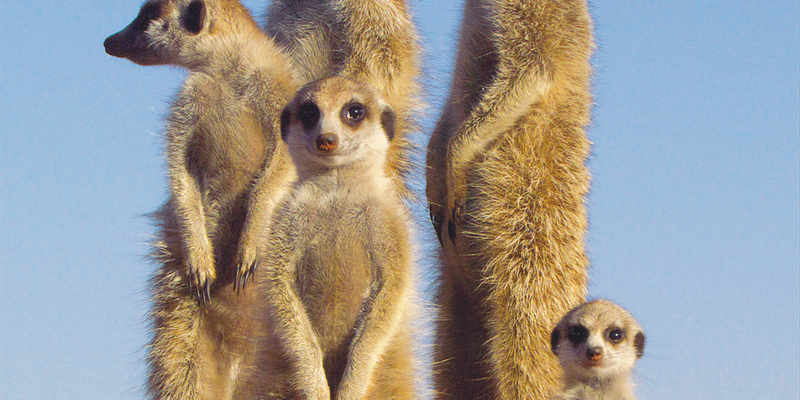  - Foto: Maleika Film GmbH über pressetext.de