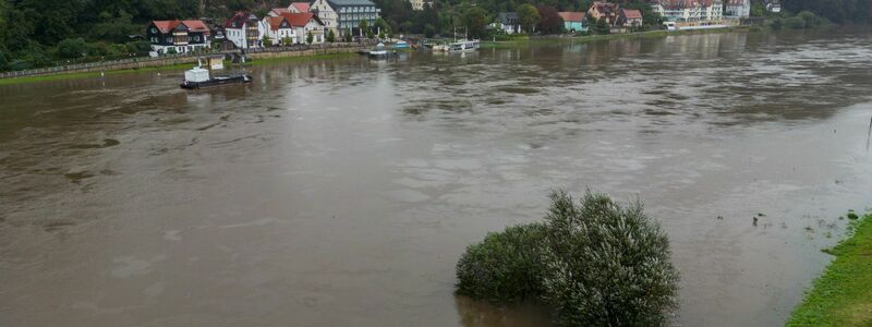 Die Elbe führt in Sachsen bereits Hochwasser. - Foto: Jan Woitas/dpa