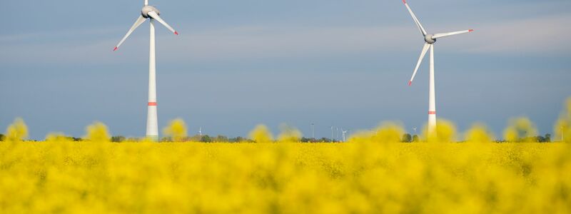 Deutschland mischt bei Ökostromanlagen in der Spitze mit. (Archivbild) - Foto: Hauke-Christian Dittrich/dpa