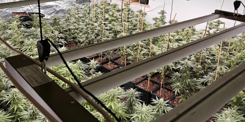 ZOLL-H: Durchsuchungsmaßnahmen wegen des Verdachts des bandenmäßigen Handels mit Betäubungsmitteln und Cannabisprodukten in nicht geringer Menge in der Region Wilhelmshaven/Friesland - Foto: presseportal.de