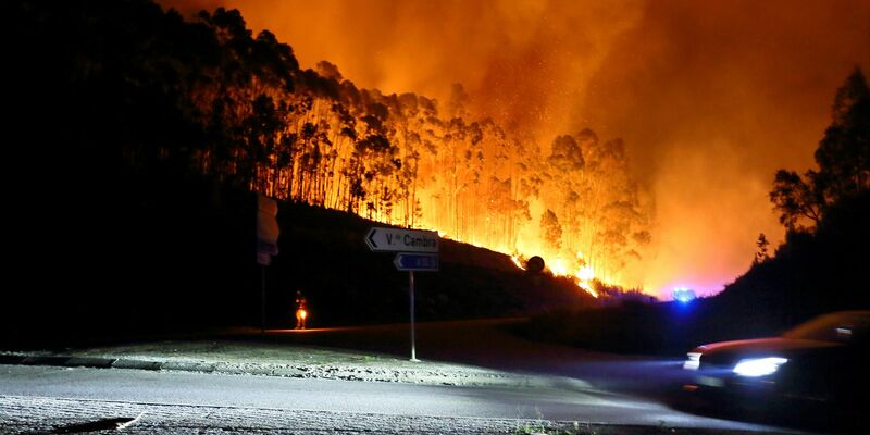 Zu den besonders von den Bränden betroffenen Regionen gehört der Bezirk Aveiro. - Foto: Bruno Fonseca/AP/dpa