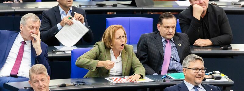 Die AfD hat bislang keinen Vorsitz in einem Bundestagsausschuss inne. (Archivbild) - Foto: Christoph Soeder/dpa