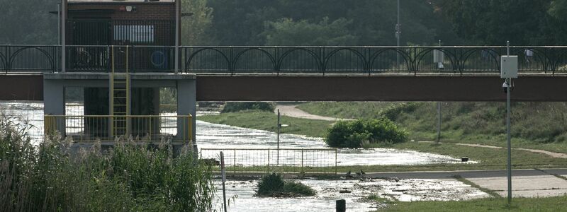 Die Hochwasserwelle in der Oder hat die niederschlesische Stadt Breslau erreicht. (Foto aktuell) - Foto: Krzysztof Cwik/PAP/dpa