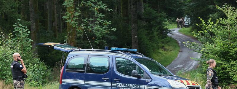 Waldgebiete in den Vogesen wurden aufwendig durchsucht. (Archivbild) - Foto: Frederick Florin/AFP/dpa