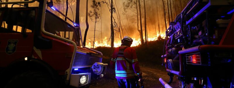 Fast 4.000 Feuerwehrleute und Helfer kämpfen oft bis zur völligen Erschöpfung gegen die Flammen. - Foto: Bruno Fonseca/AP