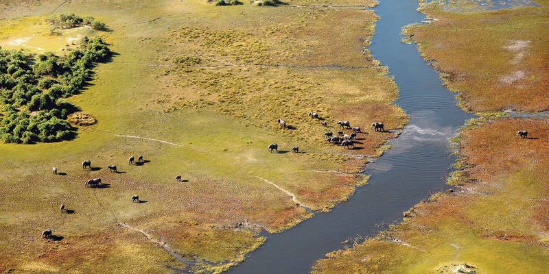 - Foto: Maleika Film GmbH über pressetext.de