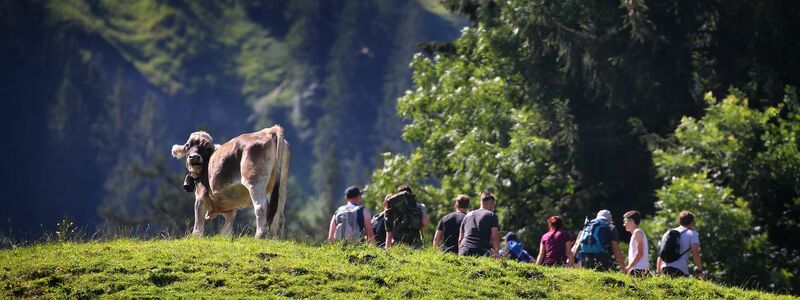 Jeder sechste Inlandstourist aus Deutschland reiste nach Bayern. (Archivbild) - Foto: Karl-Josef Hildenbrand/dpa