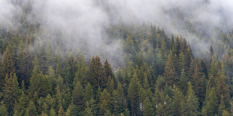 Neuer Nachhaltigkeitsbericht: Lidl setzt sich Net-Zero-Ziel bis 2050 / Lidl in Deutschland veröffentlicht seinen vierten Nachhaltigkeitsbericht und verpflichtet sich zu Net-Zero bis 2050 - Foto: presseportal.de