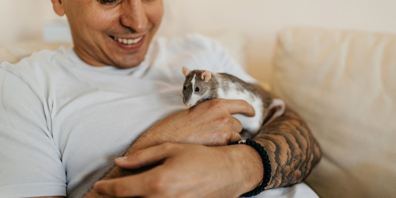 ZZF ernennt die Farbratte zum Heimtier des Jahres 2025 - Foto: presseportal.de