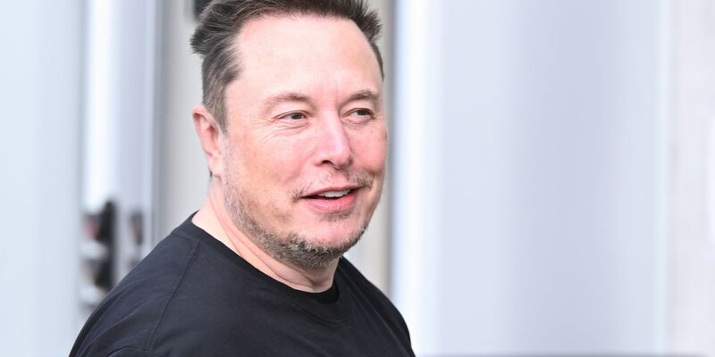 Elon Musk will sich des hohen Krankenstands im Tesla-Werk in Grünheide annehmen. - Foto: Sebastian Gollnow/dpa