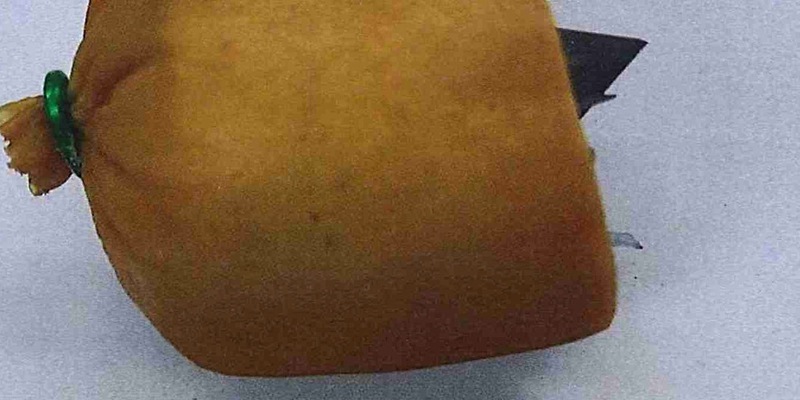 POL-SO: Präparierter Hundeköder ausgelegt - Foto: presseportal.de