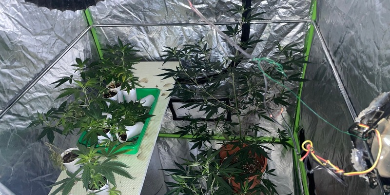 POL-STD: Polizei stellt 40 Marihuanapflanzen und Zuchtzubehör sicher, Unbekannte entwenden Kabel aus Stader Rohbau - Foto: presseportal.de