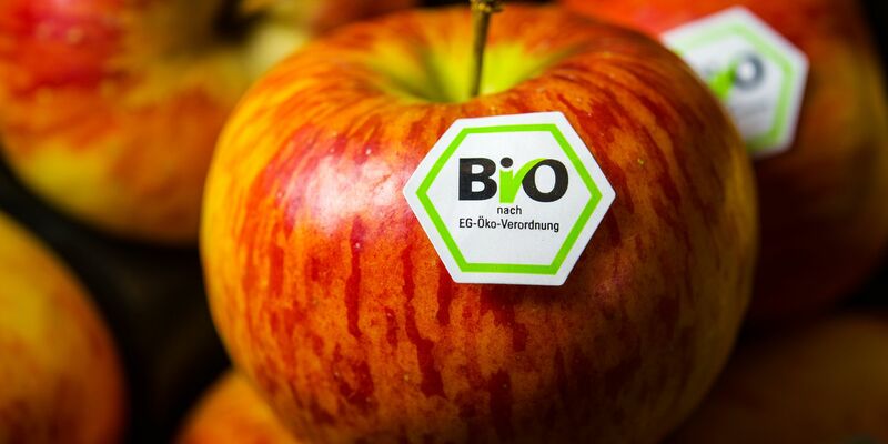 Bis 2030 sollen eigentlich mindestens 25 Prozenz der landwirtschaftlichen Flächen in der EU ökologisch bewirtschaftet werden. (Archivbild)  - Foto: David-Wolfgang Ebener/dpa