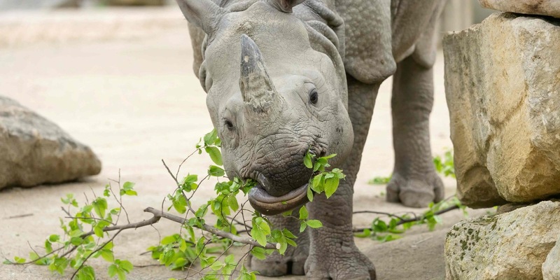 Verantwortung für das Tierwohl / Gemeinsame Position der Tierhalter zur Novellierung des Tierschutzgesetzes - Foto: presseportal.de