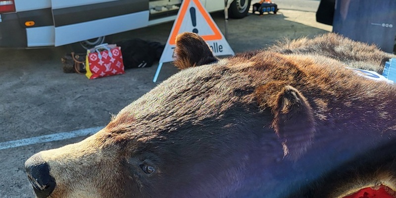 HZA-BS: Der Zoll präsentiert sich beim 2. Blaulichttag des PS.SPEICHER in Einbeck - Foto: presseportal.de