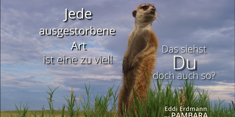 - Foto: Maleika Film GmbH über pressetext.de