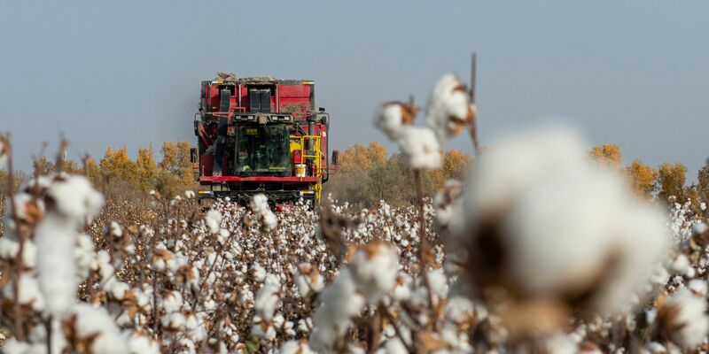 China wirft PVH vor, Baumwolle und andere Produkte aus Xinjiang gemieden zu haben. (Symbolbild) - Foto: Ma Kai/XinHua/dpa